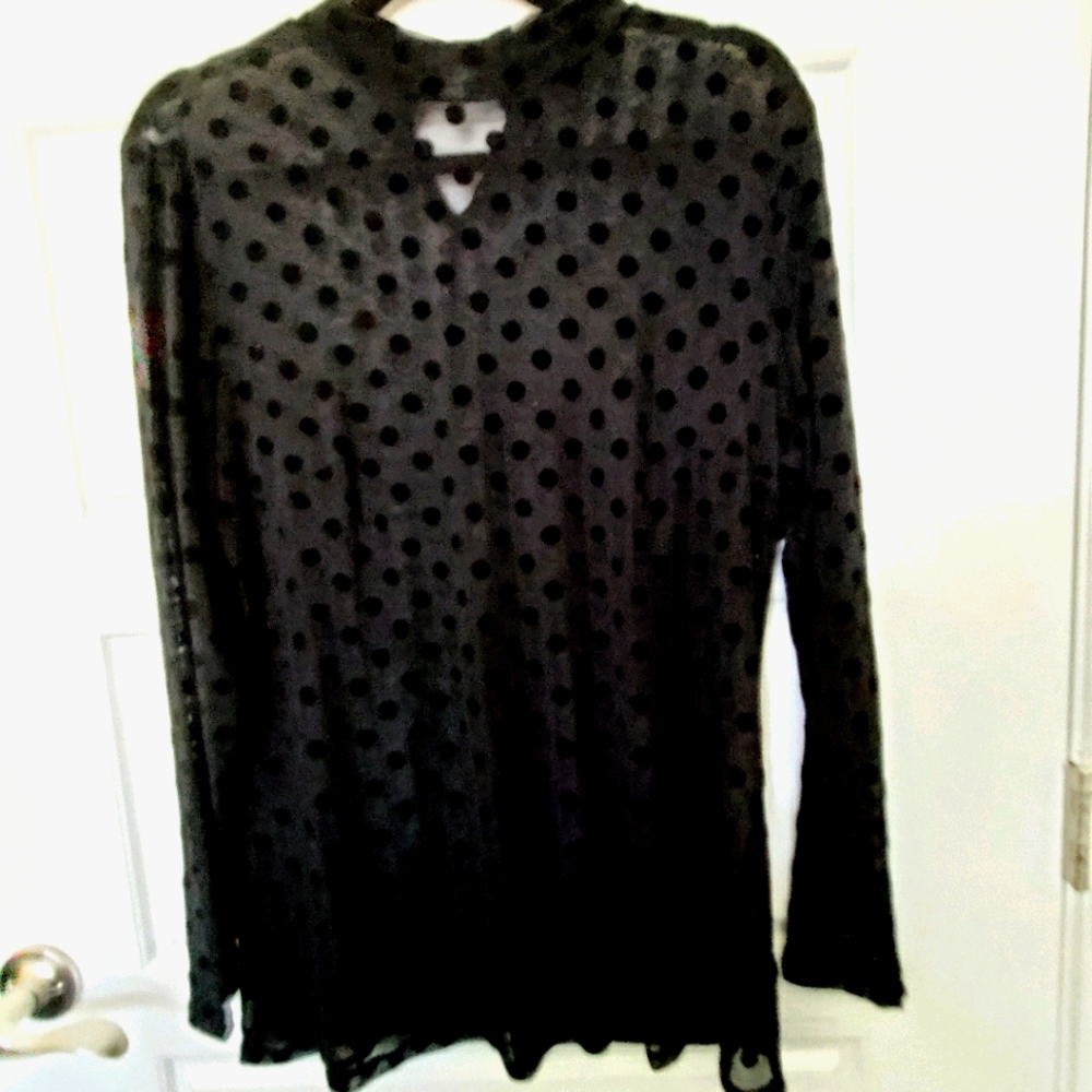 Sheer Top - Picture 2 of 4